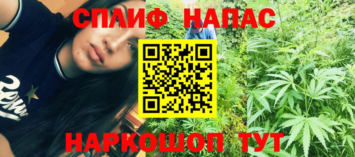 Солнечногорск  Шишки марихуана план  Вход с VPN  Бошки Шишки Bruce Banner  Канабис ГИДРОПОН 